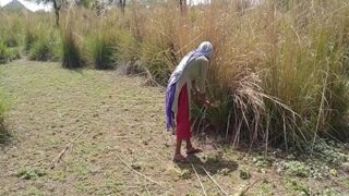 खेत में मज़दूर और एक बदचलन की देसी सेक्स वीडियो